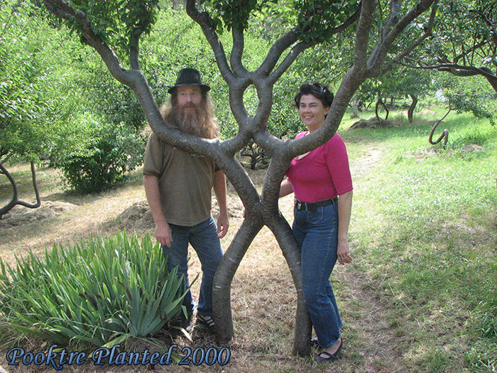Peter Cook, Person Tree and Becky Northey